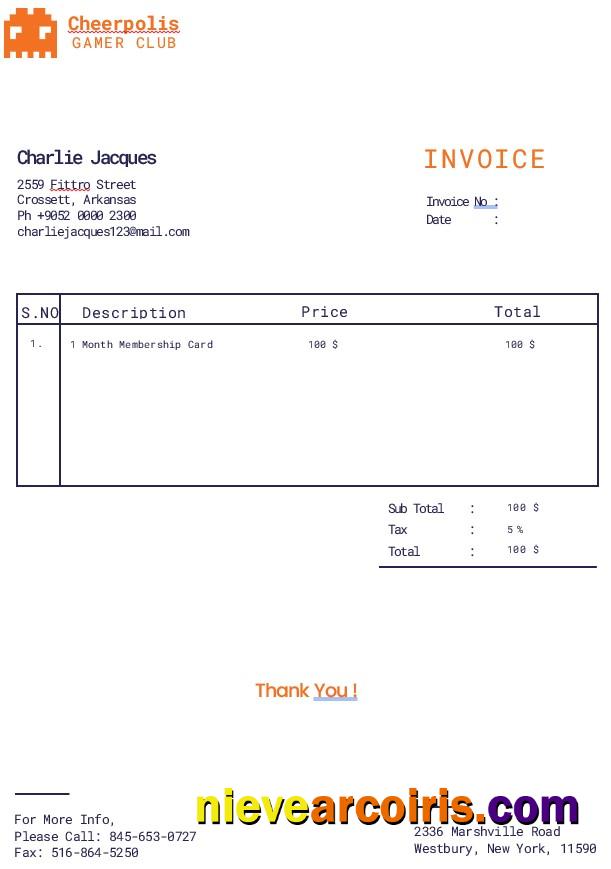 Gaming Company Invoice
